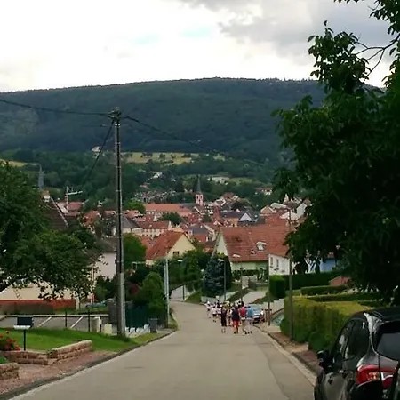 Falkenstein アパート ニーデルブロン・レ・バン